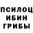 Псилоцибиновые грибы Magic Shrooms PROF1T1