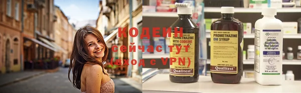 шишки Новозыбков