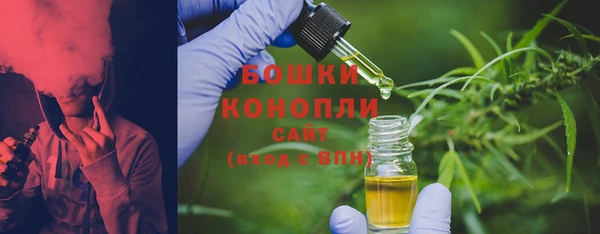 шишки Новозыбков