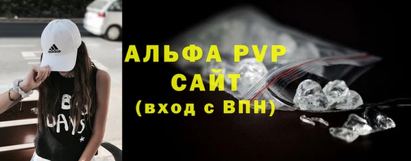 шишки Новозыбков