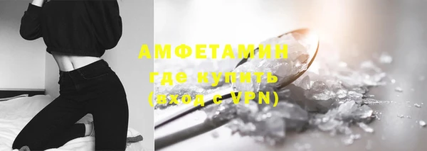 шишки Новозыбков