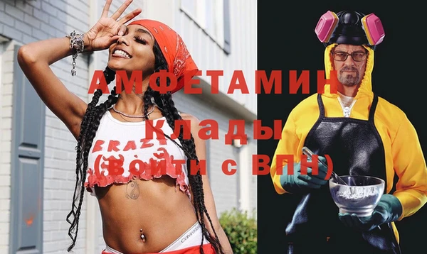 шишки Новозыбков