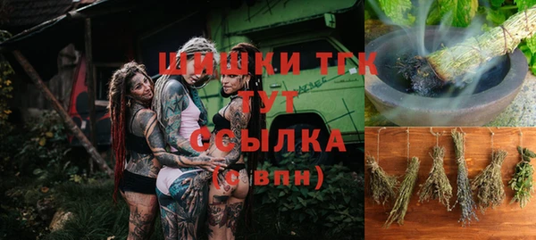 шишки Новозыбков
