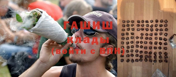 шишки Новозыбков