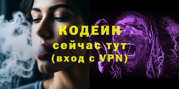 шишки Новозыбков