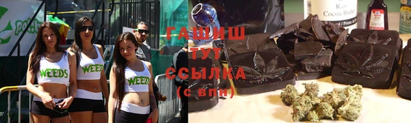 шишки Новозыбков