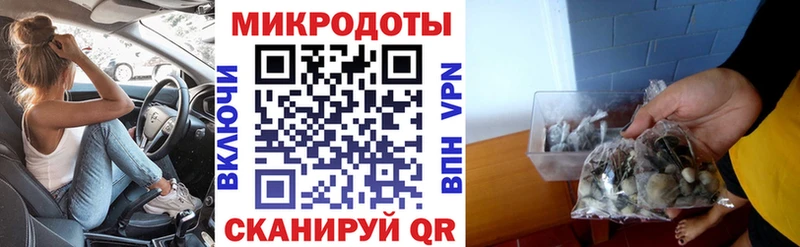 Галлюциногенные грибы прущие грибы  Сусуман 